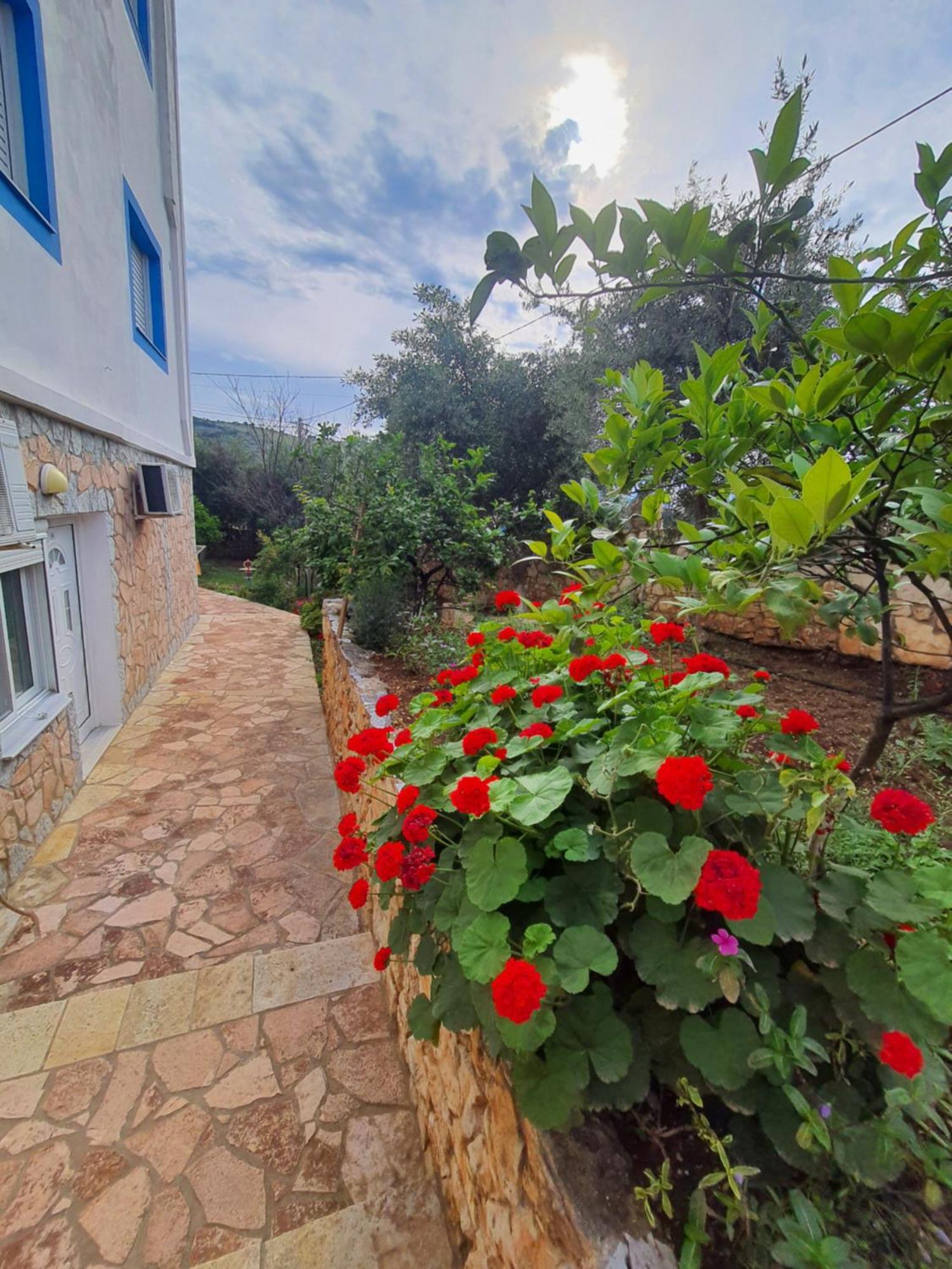 Vila Albi Ксамил Экстерьер фото